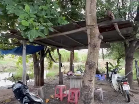 Bình Thuận: Người đàn ông bị sét đánh tử vong khi đang ngồi uống trà đá dưới gốc cây