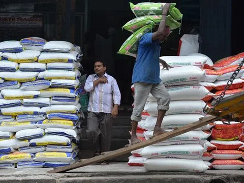 Thiếu gạo, giá cả tăng đe dọa an ninh lương thực toàn cầu