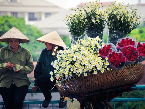 Chuyện những xe hoa trên phố
