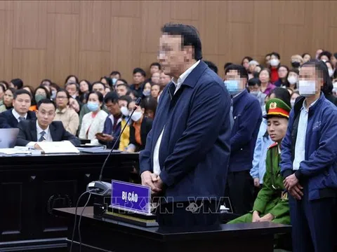 Xét xử vụ án Tân Hoàng Minh: Huy động tiền của 6.630 nhà đầu tư vào nhiều mục đích khác nhau