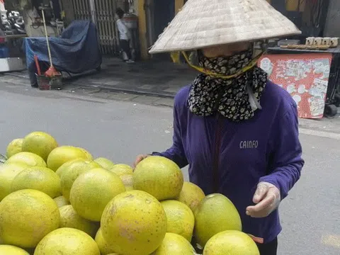 Trái bưởi 50.000 đồng ở Hà Nội, khách Tây tò mò mua vì tưởng cam khổng lồ