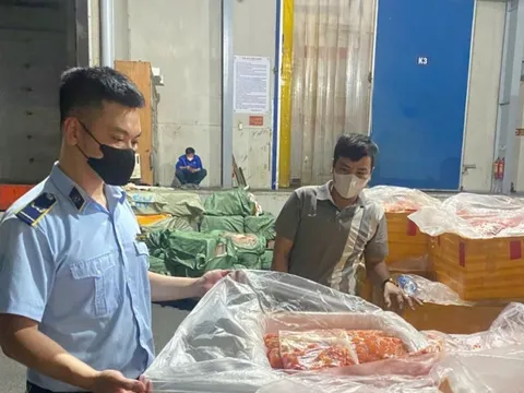 Phát hiện kho đông lạnh chứa hơn 7 tấn nội tạng không rõ nguồn gốc
