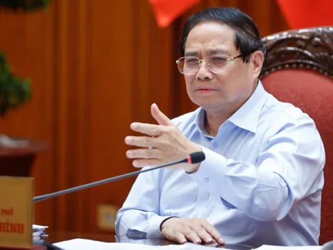 Hàng trăm tấn hàng giả mà không biết, do không còn ý chí hay bị mua chuộc?