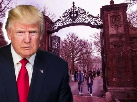 Chính phủ Mỹ cấm Đại học Harvard tuyển sinh viên quốc tế