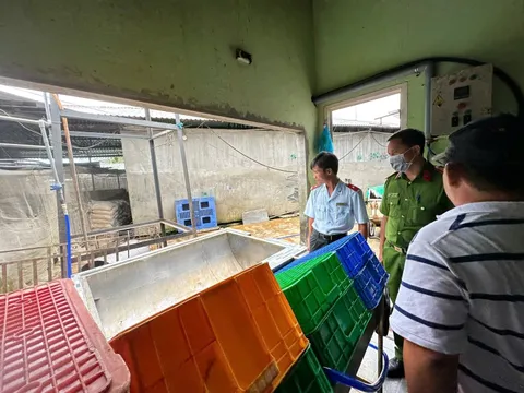 Bên trong lò giết mổ nơi chụp bức ảnh heo bệnh của C.P. ở Hậu Giang