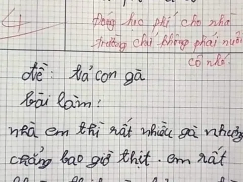 Bài văn tả gà của học sinh lớp 3 bị cô chấm 4 điểm, dân mạng tranh cãi ầm ĩ