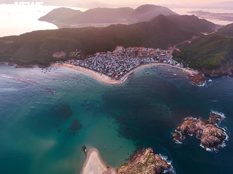 'Trốn' phố thị ồn ào, về Quy Nhơn ngắm rong mơ nhuộm vàng đáy biển
