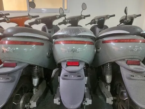 Lại phá đường dây xe máy điện giả