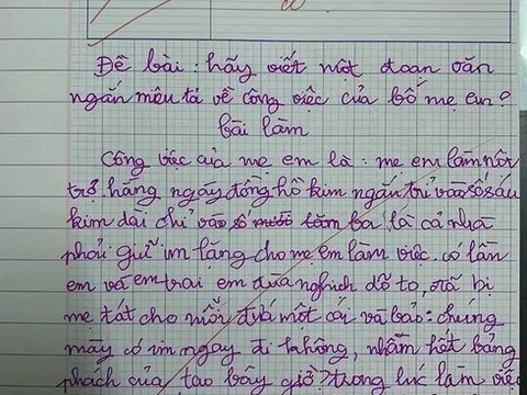 Bài văn 'tả công việc của bố mẹ' bị chấm 1 điểm, dân tình phản đối giáo viên gay gắt