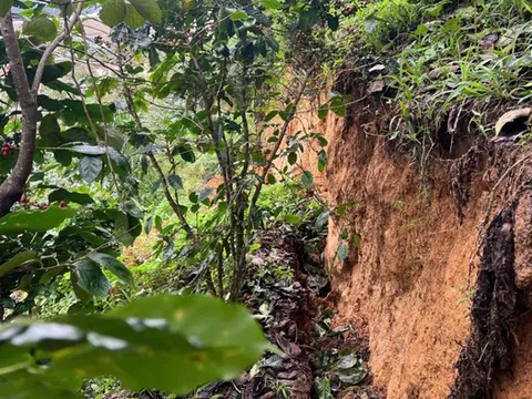 Xuất hiện vết nứt dài 100m ở Lâm Đồng, có nguy cơ sạt lở