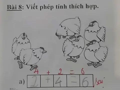 Học trò làm bài toán '2+4=6' bị chấm sai, nhiều người lại đồng tình với giáo viên