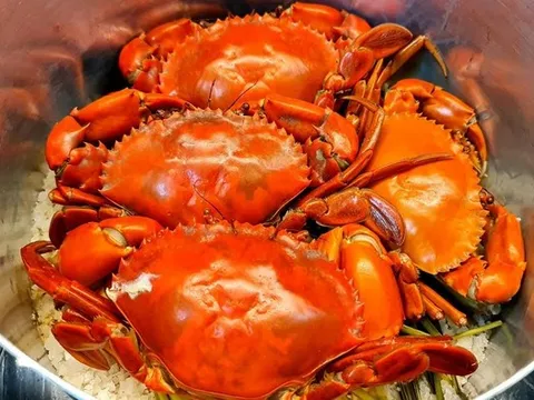 Chuyên gia cảnh báo 4 bộ phận của cua biển không ăn, dễ gây hại sức khỏe