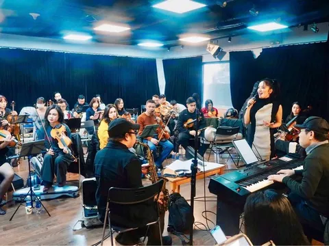 Diva Hồng Nhung, Hà Trần không nhận được cát-xê, đau lòng khi đêm nhạc bị hủy