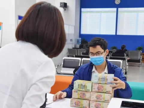 Hướng dẫn cá nhân, hộ kinh doanh kê khai và nộp thuế mới nhất