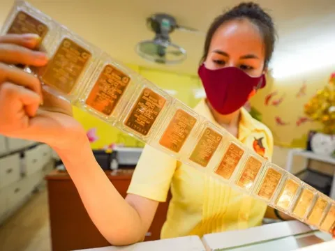 Lỗ nặng vì vàng