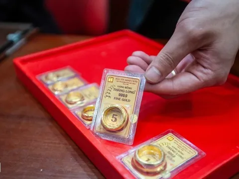Giá vàng trong nước rơi tự do