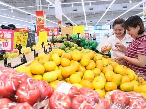Người trẻ định hình lại thói quen hưởng thụ kì nghỉ và những cuộc vui