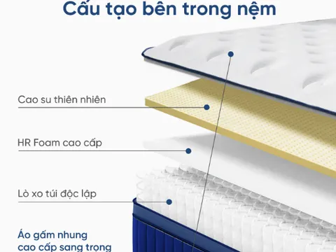 Nệm Thuần Việt ra mắt nệm lò xo Cloudy “Siêu phẩm nghỉ dưỡng” 5 sao ngay tại nhà