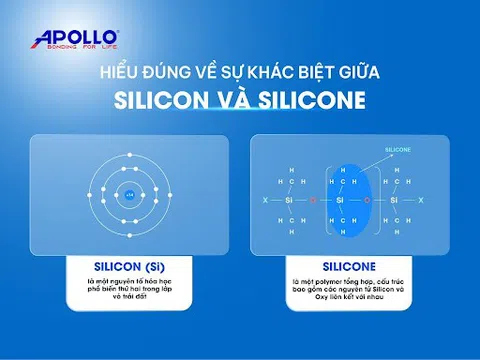 Tìm hiểu thành phần Silicone Sealant cùng chuyên gia Apollo Silicone