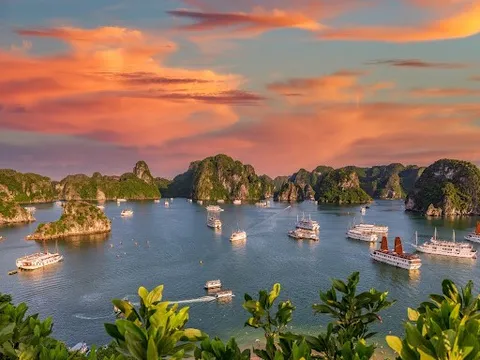 Discover the Best Halong Bay Cruise 2 Nights for a Refined Experience