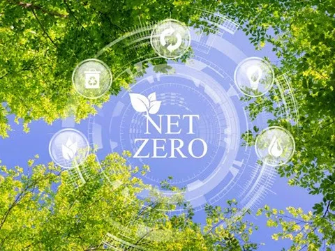 Hành trình Net Zero: Doanh nghiệp Việt chạy đua với chiến lược hạ tầng xanh