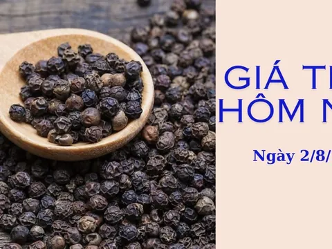 Giá tiêu hôm nay 2/8: Trong nước giảm nhẹ, thế giới có đang bắt đầu bật tăng?