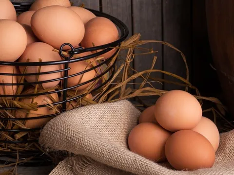 Ăn trứng luộc có tốt cho sức khỏe không? Hãy tìm hiểu sự thật