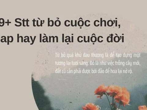 99+ Stt từ bỏ cuộc chơi, Cap hay làm lại cuộc đời