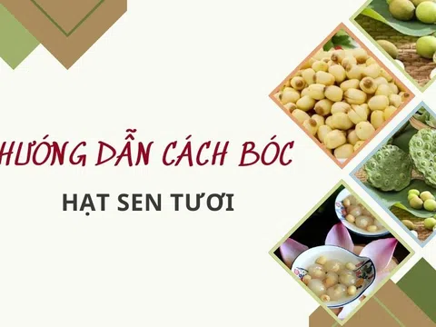 Hướng dẫn cách bóc hạt sen tươi nhanh nhất