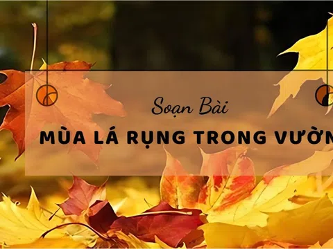 Soạn bài Mùa lá rụng trong vườn sách mới chi tiết, ngắn gọn