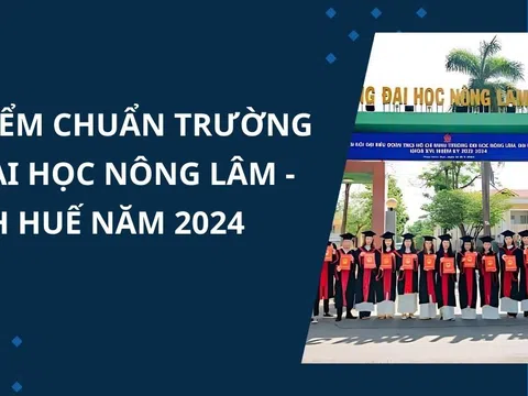 Điểm chuẩn trường Đại học Nông lâm - Đại học Huế năm 2024 theo cách phương thức