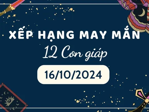 Xếp hạng may mắn 12 con giáp hôm nay 16/10/2024: Tuổi Tỵ tỏa sáng nhất