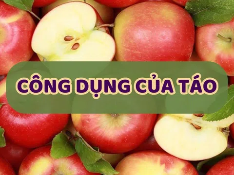 Táo có công dụng gì? Những lợi ích áng kinh ngạc cho sức khỏe