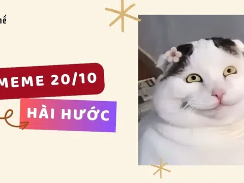 Top những meme 20/10 hài hước, dân tình cười nghiêng ngả trước loạt ảnh chế 20/10