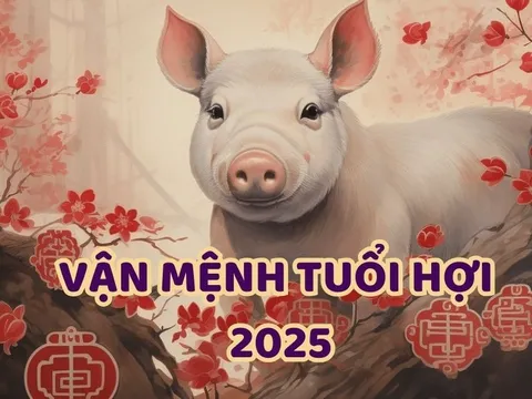 Dự đoán tử vi tuổi Hợi năm 2025: Vận mệnh, cơ hội, thách thức