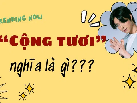 Từ điển gen Z: "Cộng tươi" là gì? Giải mã từ lóng hot trend rần rần trên mạng