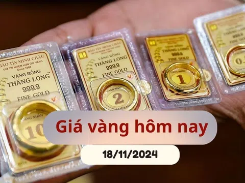 Giá vàng hôm nay (19/11/2024): Tăng dựng đứng sau chuỗi ngày giảm sâu