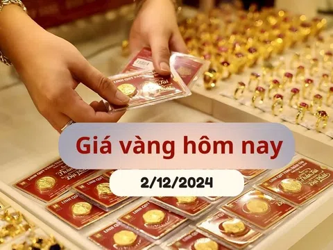 Giá vàng hôm nay (2/12/2024): Đồng loạt lao dốc