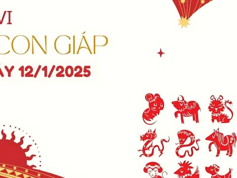 Tử vi 12 con giáp hôm nay 12/1/2025: Hợi tốt đẹp, Dậu gặp may mắn