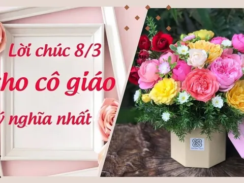 Gợi ý lời chúc Ngày Quốc tế Phụ nữ 8/3 dành cho cô giáo hay và ý nghĩa