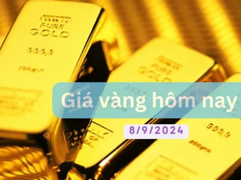 Giá vàng hôm nay ngày 8/9/2024: Vàng miếng SJC giảm nửa triệu đồng