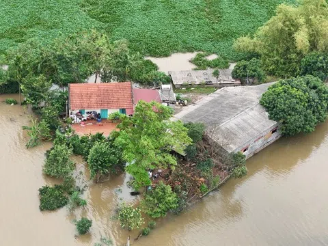 Hà Nội: Phát lệnh báo động lũ trên sông Cầu, sông Bùi trong đêm