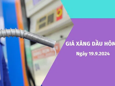 Giá xăng dầu hôm nay 19.9.2024: Xăng trong nước được điều chỉnh thế nào?