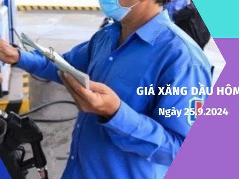 Giá xăng dầu hôm nay 25/9/2024: Tăng nhẹ