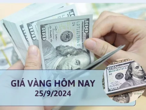 Tỷ giá USD hôm nay 25/9/2024: Đồng USD trong nước tăng