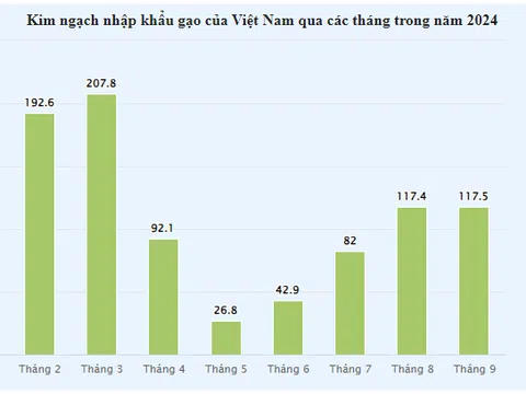 Lần đầu tiên trong lịch sử, Việt Nam chi 1 tỷ USD nhập khẩu gạo