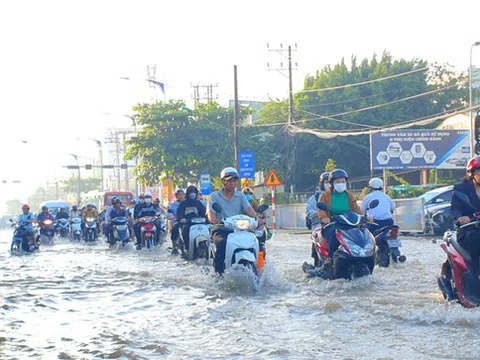 Triều cường ở Cần Thơ có thể vượt mốc kỷ lục trong những ngày tới