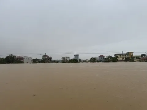 Bão Trà Mi gây mưa lớn hơn bão YAGI