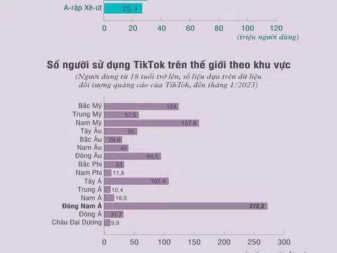 Việt Nam đứng thứ 6 thế giới về số người lớn sử dụng TikTok
