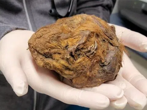 Sự thật về 'xác ướp yêu tinh' 30.000 năm không tan rã trong mỏ vàng